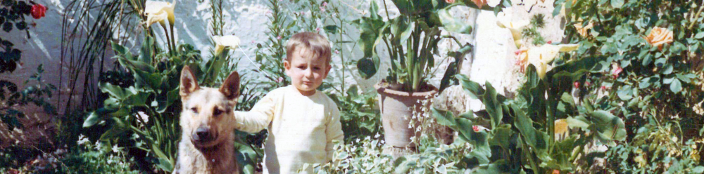 Foto de un niño rubio junto a un pastor alemán en un patio llego de flores.